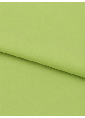 Bērnu kokvilnas palags DAILY GREEN