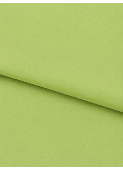 Bērnu kokvilnas palags DAILY GREEN Bērnu kokvilnas palags DAILY GREEN