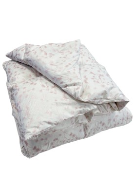 Spalvu sega Comfort Pluss | tea rose